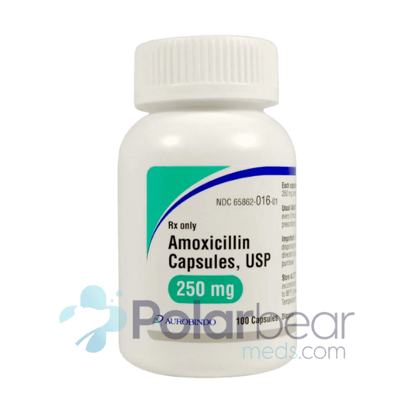 Amoxicillin - Image 1