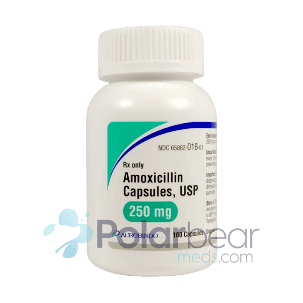 Amoxicillin - Image 1
