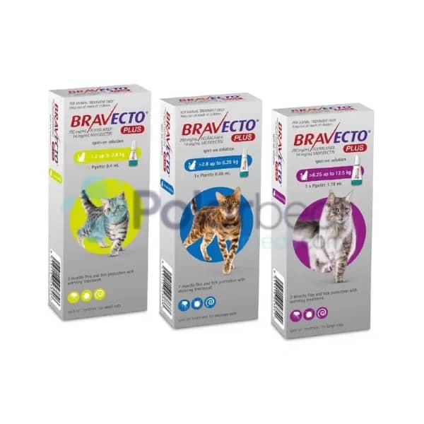 Bravecto Plus - Image 1