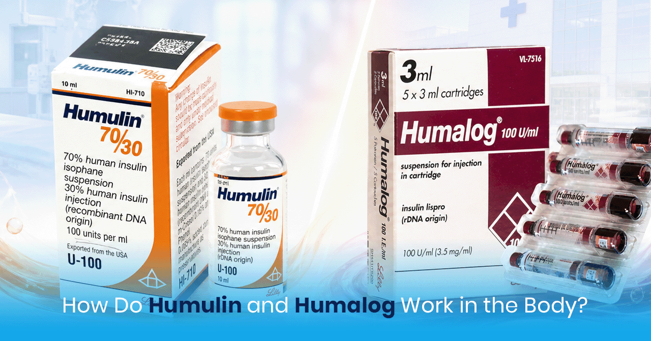 How Do Humulin and Humalog Work in the Body_