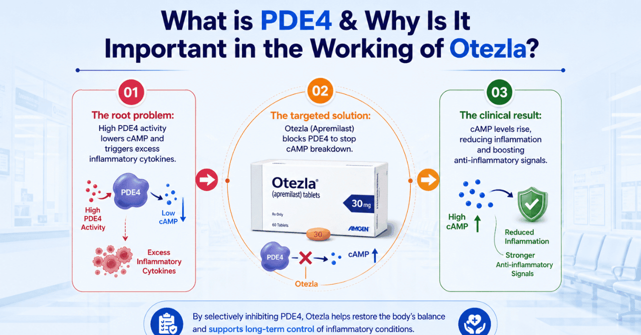 What is PDE4 & Why Is It Important in the Working of Otezla