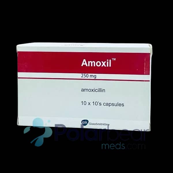 Amoxil - Image 1
