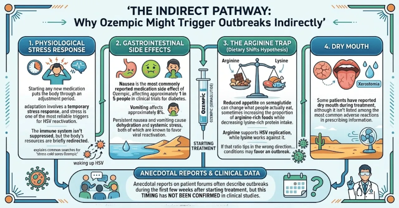 The Indirect Pathway: Why Ozempic Might Trigger Outbreaks Indirectly