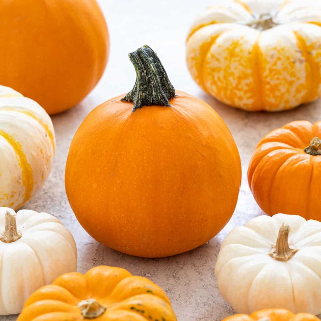 can diabetics eat pumpkin pie