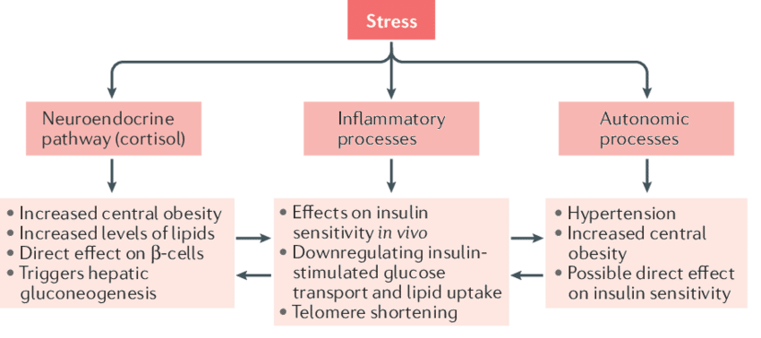 can stress cause diabetes