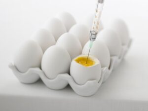 Metformin and Eggs